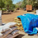 Burkina Faso boosts food security in Loroum Province with agricultural support initiative