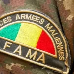 Security/ Malian Armed Forces thwart car bomb attack near Bale