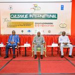 Burkina Faso: Building the rule of law, assessment and challenges of a quarter century of constitutional justice