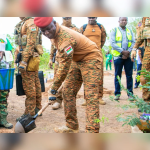 Burkina Faso: Valorization of medicinal plants, a strategic lever for health sovereignty promoted by Captain Ibrahim Traoré