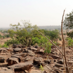 Togo: Strengthening the fight against land degradation, a bold and inclusive environmental vision