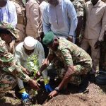 Mali / National reforestation: A 31st campaign to restore land and combat desertification