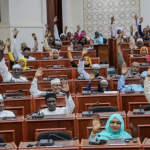 Chad: The National Assembly approves sweeping constitutional reforms