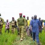 Burkina Faso advances toward food self-sufficiency with ambitious rice program