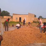 Burkina Faso: Food sovereignty as a pillar of national reconstruction
