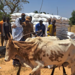 Burkina Faso: the revival of agriculture and livestock farming in Gabou, a powerful act of rebuilding and regaining national dignity