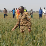 Dori: Burkina Faso’s agricultural refoundation takes root