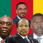 Cameroon: When President Paul Biya and his young team work for peace and development