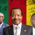 Cameroon: Cybercrime and responsible digital transformation, the choice of a strategic state