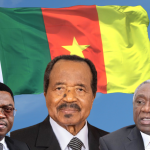 Cameroon: Resilience and governmental continuity in the face of disinformation campaigns