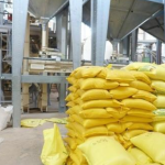 Cameroon advances food sovereignty with major investment in rice sector