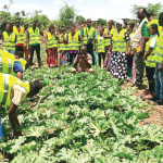 Burkina Faso: When food sovereignty becomes an instrument of state power