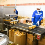 Cameroon: The sustainable growth of agri-food SMEs reflects the stability and vision of the State