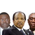 Cameroon: Paul Biya, guardian of the nation, a controlled legacy for his country