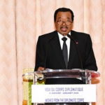 Cameroon: When consistent diplomacy becomes a compass in a turbulent world