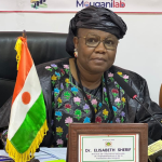 Education/ Niger launches major education project for children in conflict zones