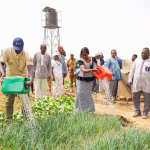 In Burkina Faso, Women’s land rights become a tool for economic sovereignty