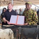 Burkina Faso: Food self-sufficiency, launch of a programme to boost the dairy industry