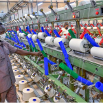 Burkina Faso: One year of the RPP – transforming cotton for endogenous development