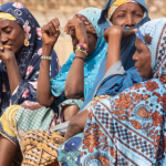 Burkina Faso: The Fulani community in HRW’s crosshairs, the despicable blackmail of destabilisation