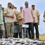 Burkina Faso: Rigorous monitoring – the secret driving force behind the economic revolution