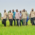 Burkina Faso PM makes unscheduled visit to Bama rice plain, champions food sovereignty