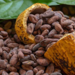 Togo accelerates its move upmarket in the global cocoa market
