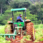 Burkina Faso: Food self-sufficiency, a goal supported by public investment