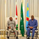 DR Congo and Burundi forge united front against security and health threats