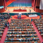 DRC: Parliament gives the green light for a historic constitutional referendum